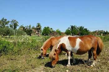 Alloggio per agriturismo Agriturismo I Vigneti Olmedo Italia
