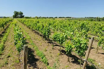 Agriturismo I Vigneti Olmedo 0*,